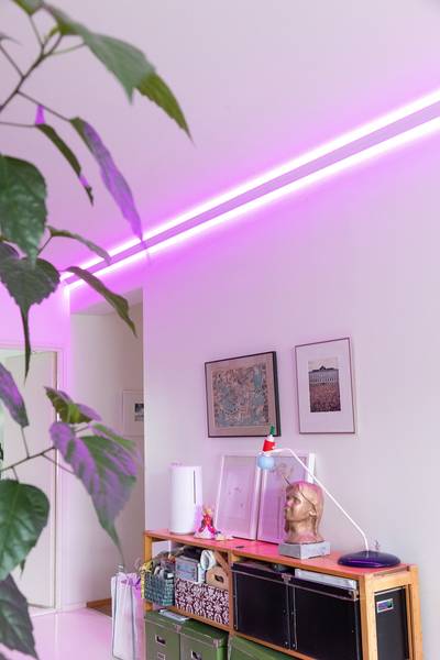 Páska RGB+CCT v nepřímém obloukovém profilu, vybrané fialové světlo.