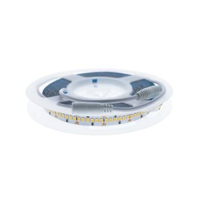 LED pásové osvětlení na roli, viditelné konektory, bílé pozadí. Energeticky úsporné osvětlovací řešení.