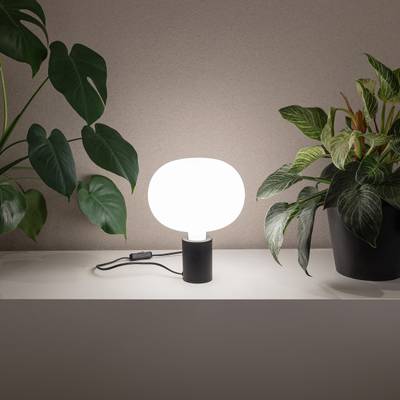 Moderní stolní LED lampa s bílým kulatým stínidlem na polici, obklopená zelenými rostlinami v květináčích pro elegantní osvětlení domácnosti.