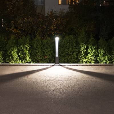 Noční cesta osvětlená jedním sloupem LED osvětlení vrhajícím dlouhé stíny, obklopená svěžími zelenými keři; ideální pro venkovní osvětlení.
