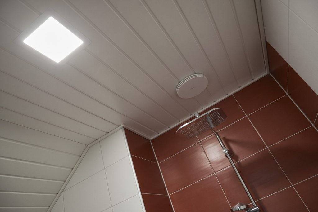 LED STORE tučnými bílými písmeny na bílém čtverci na zeleném pozadí, které představuje logo společnosti zabývající se energeticky úsporným osvětlením.