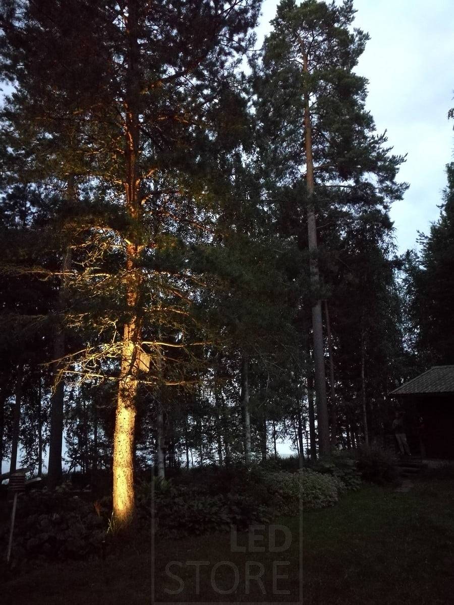 Led světelný zemní hrot osvětlující a zvýrazňující strom. Osvětlení je atmosférické a nepřímé. Ledstore.fi