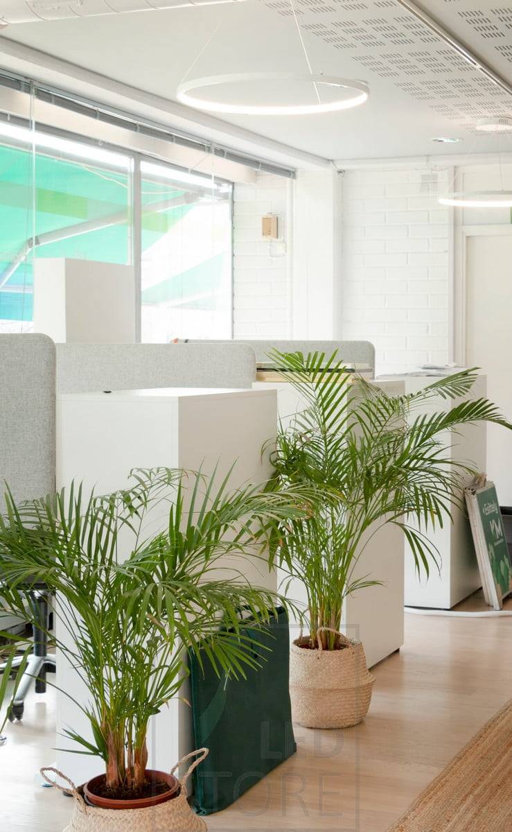 Závěsná svítidla RINKELI jsou na stropě elegantní a minimalistická. Hodí se do domácnosti i kanceláře. Ledstore.fi