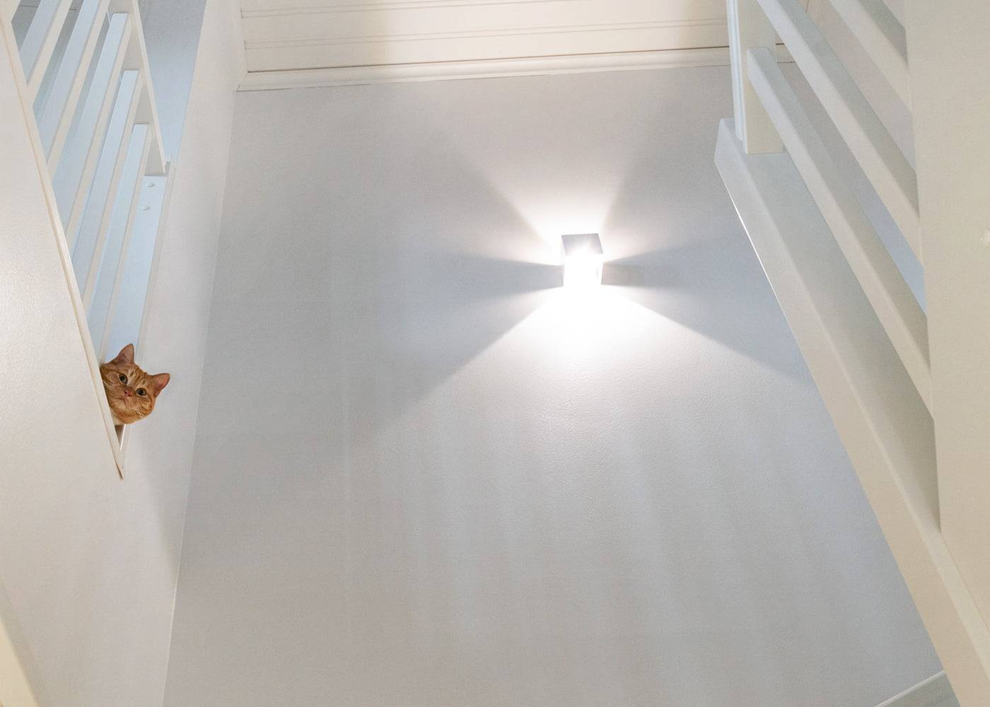 Na schodišti vykukuje oranžová kočka; nástěnné LED světlo vytváří hvězdné stíny a dodává bílému schodišti útulnou atmosféru.