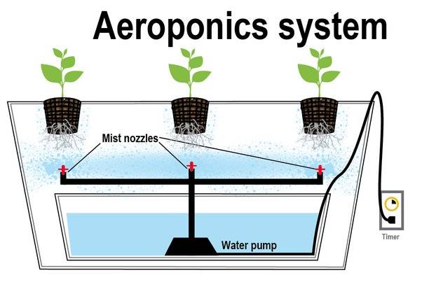 Aeroponické zemědělství